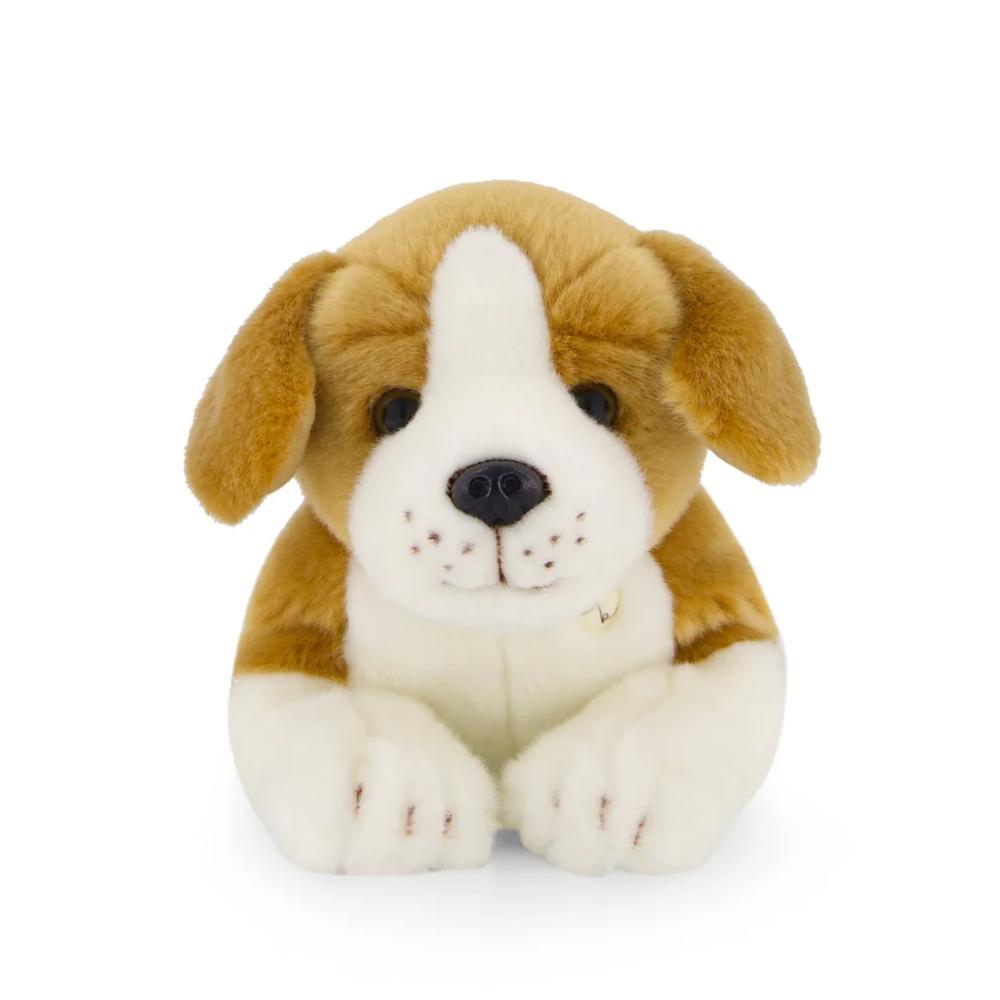 Snuggle Bunnies - Brooklyn the Beagle