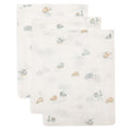 Muslin Washcloth 3pk - On The Go