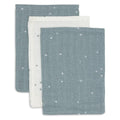 Muslin Washcloth 3pk - Twinkling Sea Green