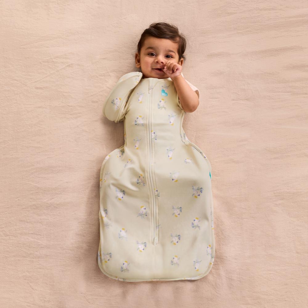 1.0 tog Swaddle Up Transition Bag Limited - Mini Cockatoos