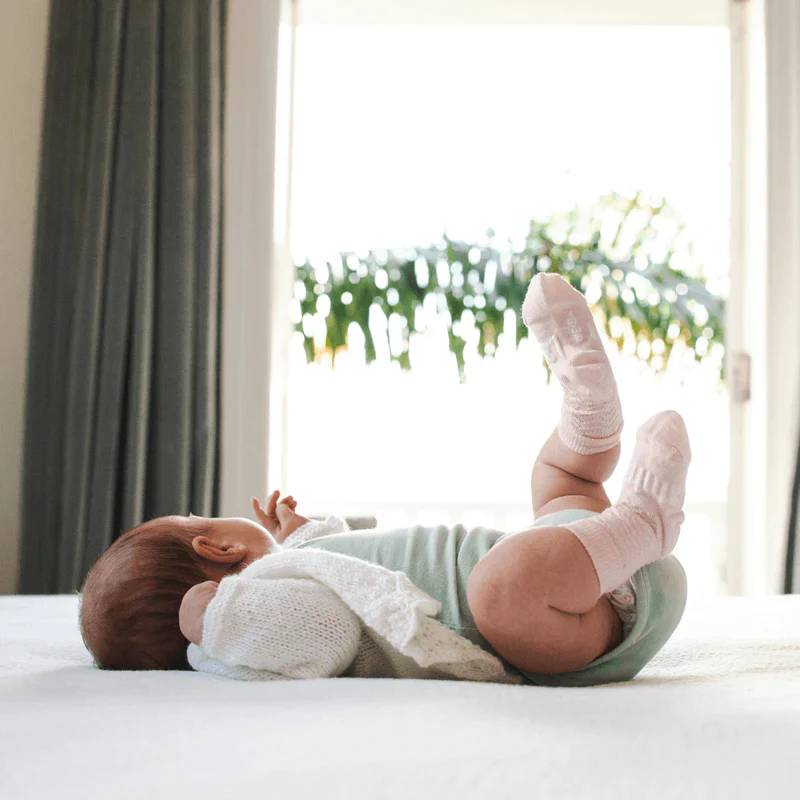 Baby Crew Merino Socks - Petal