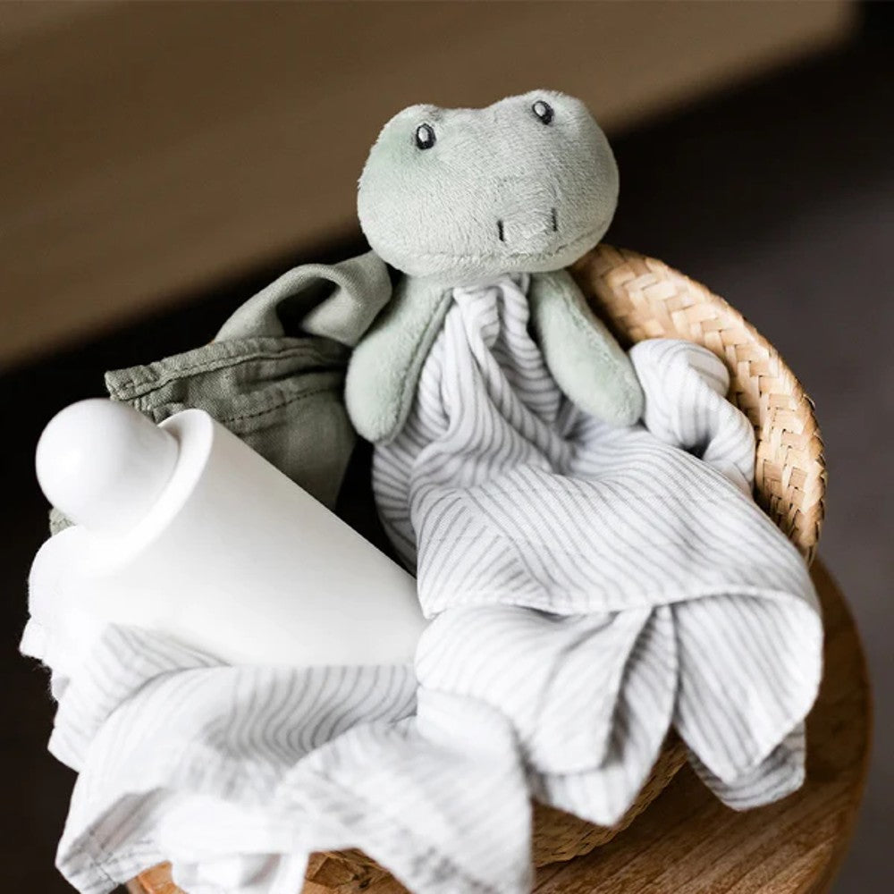 Little Bamboo Baby Lovie Comforter - Freddie Frog