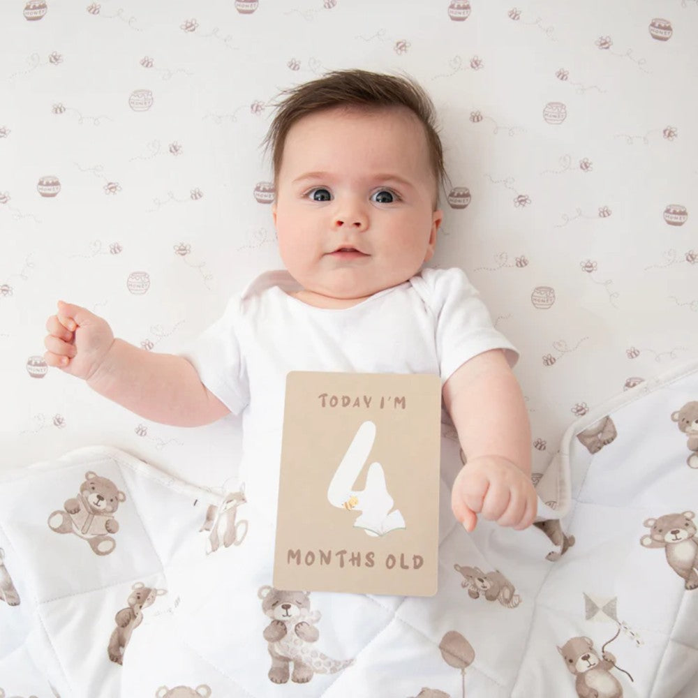 Jersey Fitted Sheet 2pk - Cuddly Bear