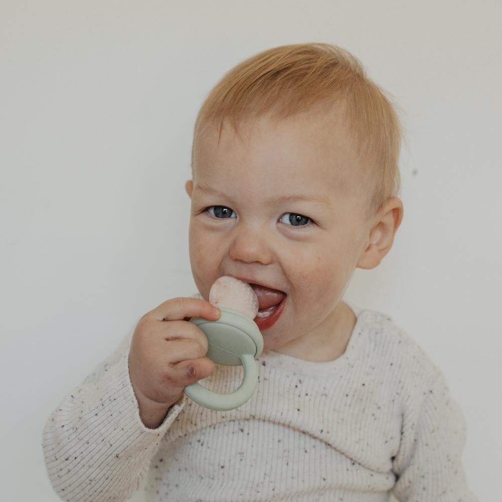 First Tastes Feeder - Petal