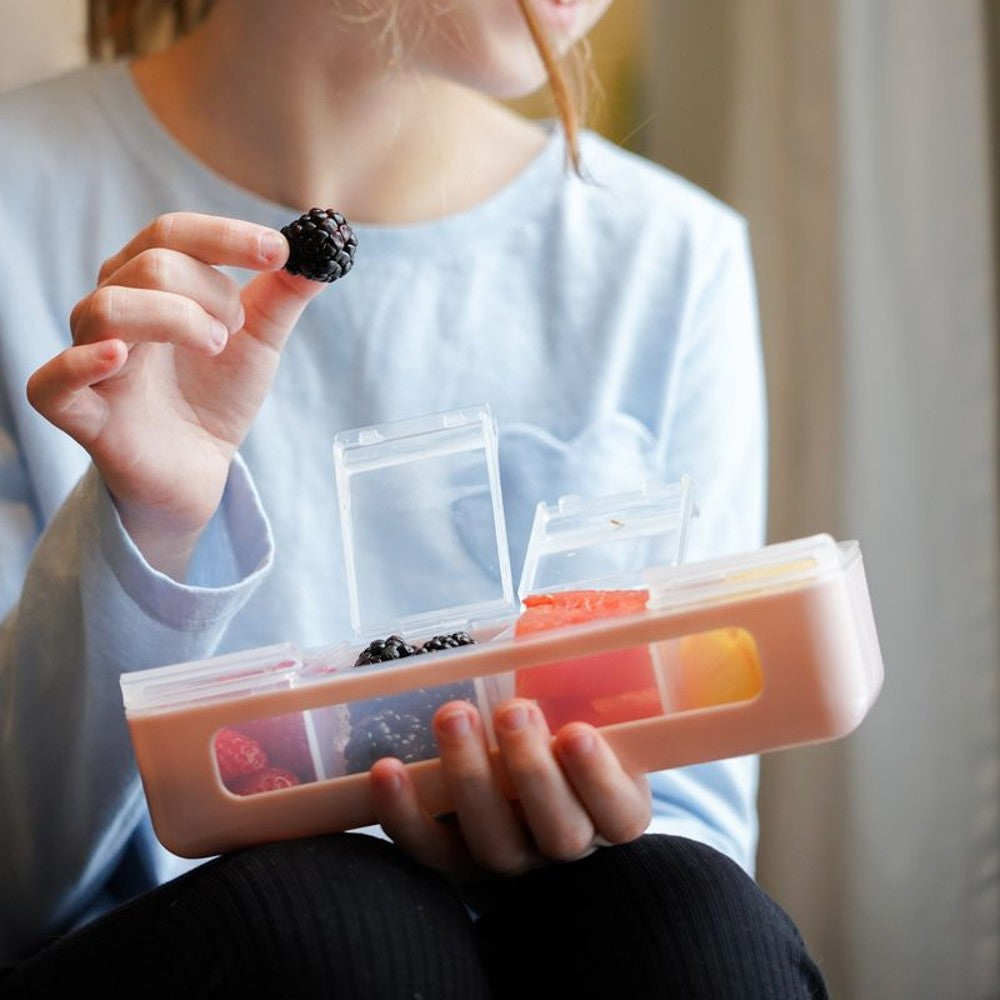 Person holding a transparent container with food items, including berries and carrots.