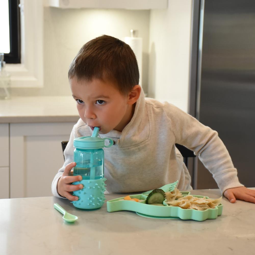 Silicone Divided Suction Plate - Dinosaur
