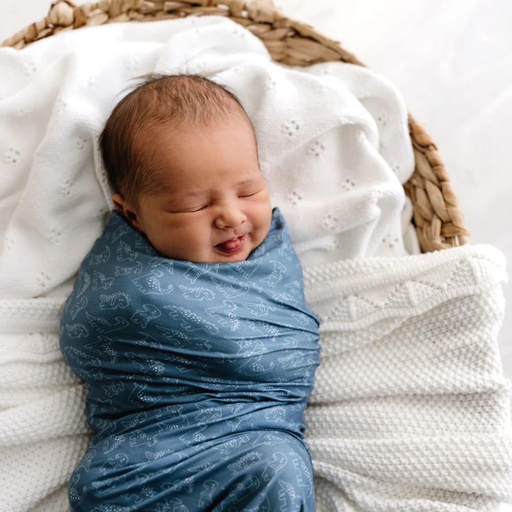 Stretchy Swaddle - Rexy & Friends