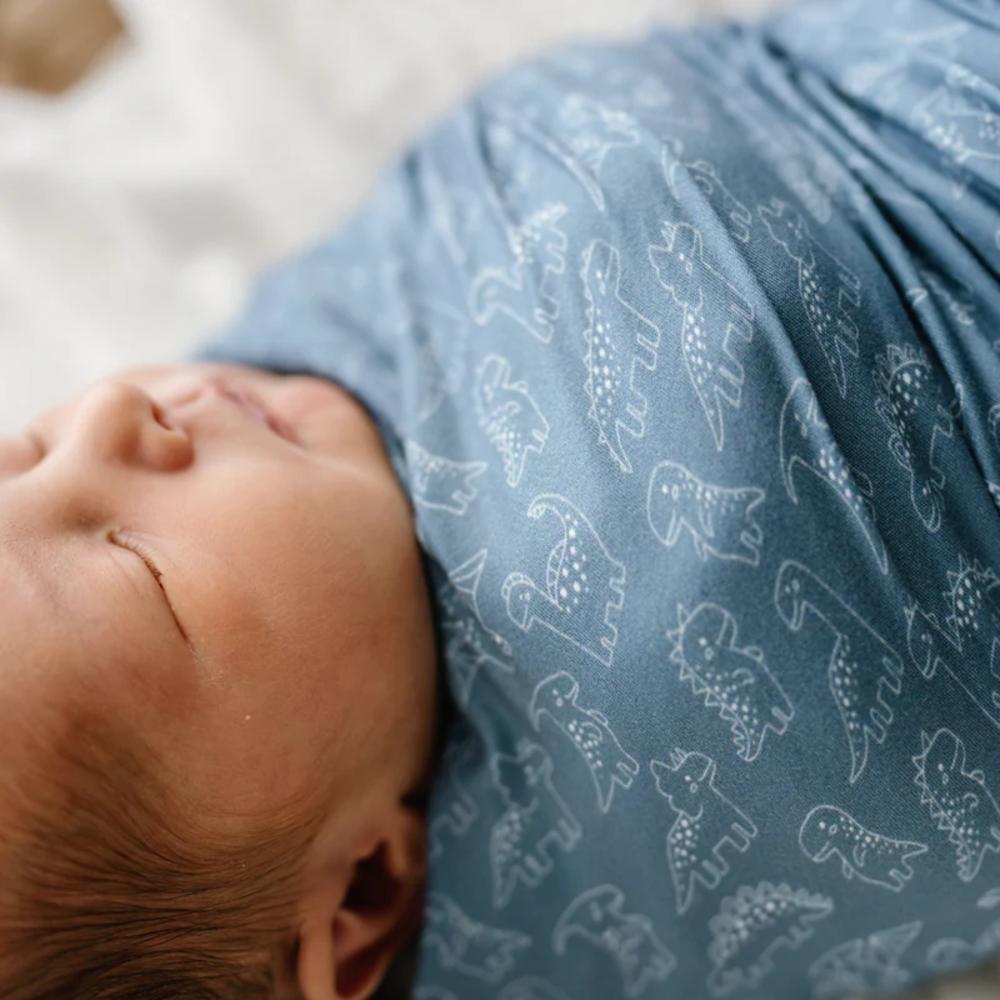 Stretchy Swaddle - Rexy & Friends
