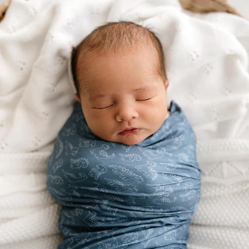 Stretchy Swaddle - Rexy & Friends