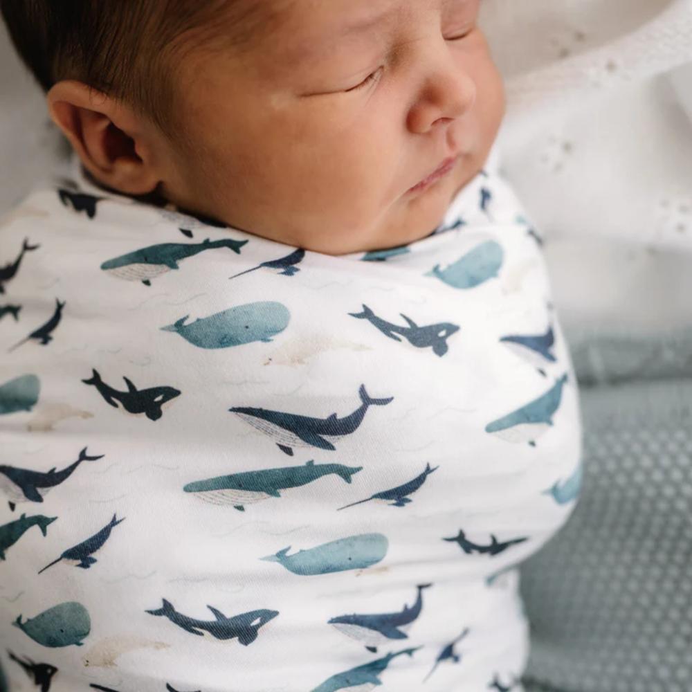 Stretchy Swaddle - Whales Tales