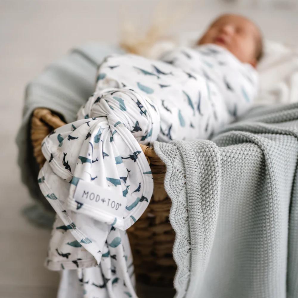 Stretchy Swaddle - Whales Tales