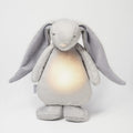 Humming Bunny with Lamp - Silver