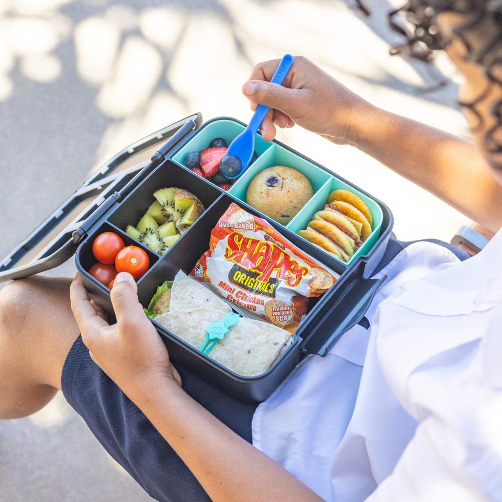 Feast Lunch Box - Midnight