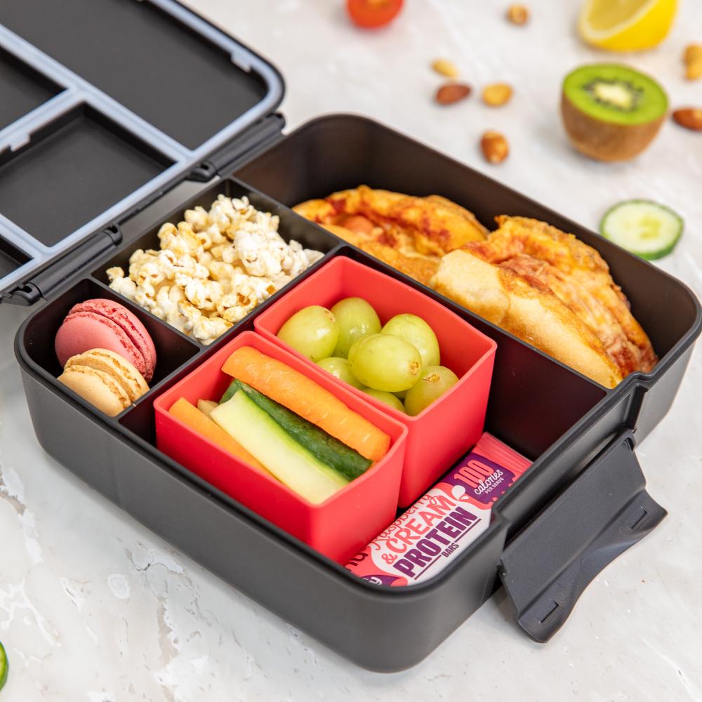 Feast Lunch Box - Midnight