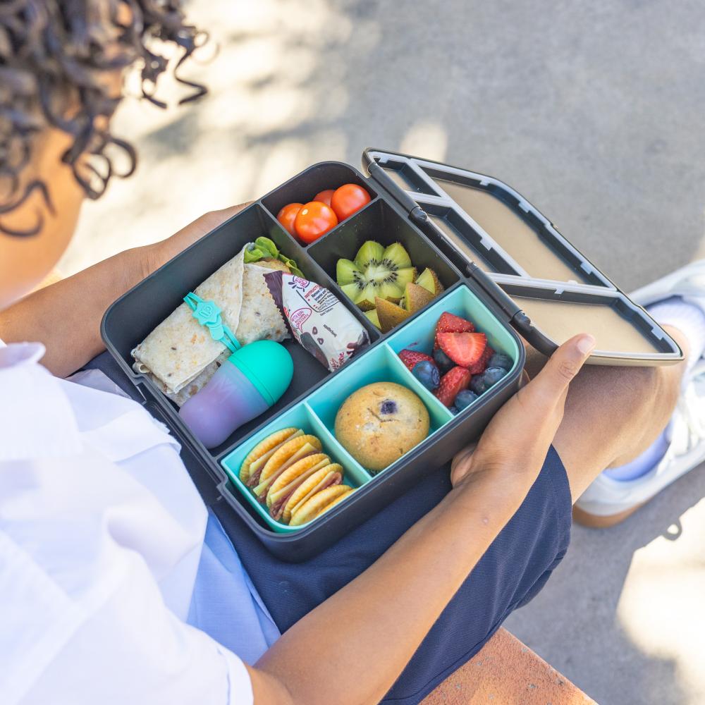 Feast Lunch Box - Midnight