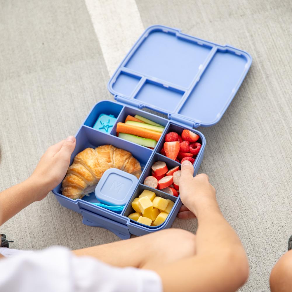 Feast Lunch Box - Splash