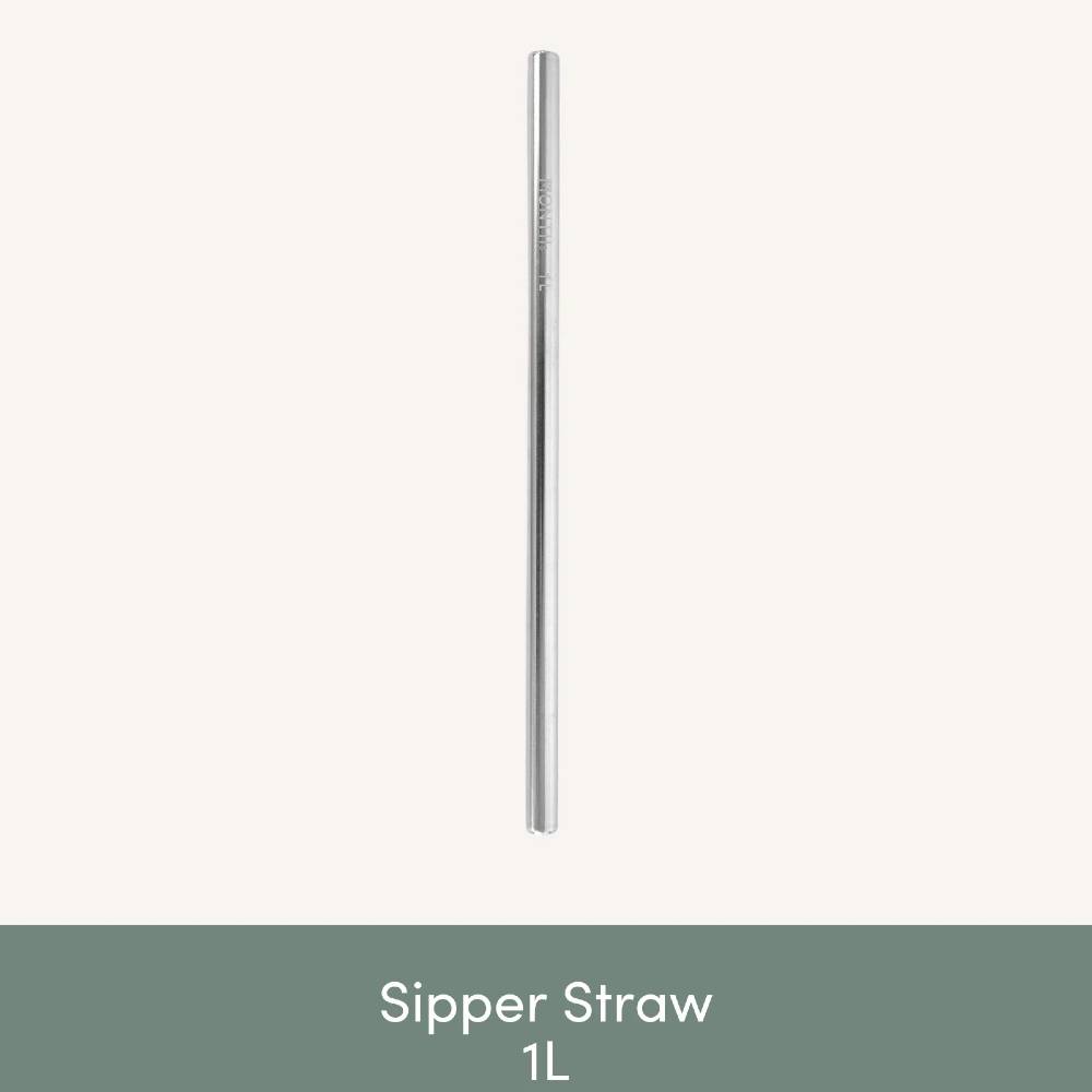 Fusion Stainless Steel Sipper Straw