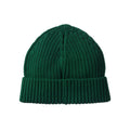 Green chunky knit beanie on a white background