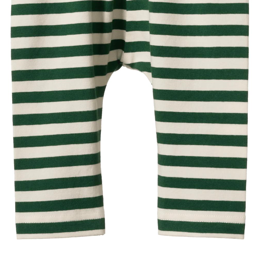 Close up of Green and white striped baby pants on a white background