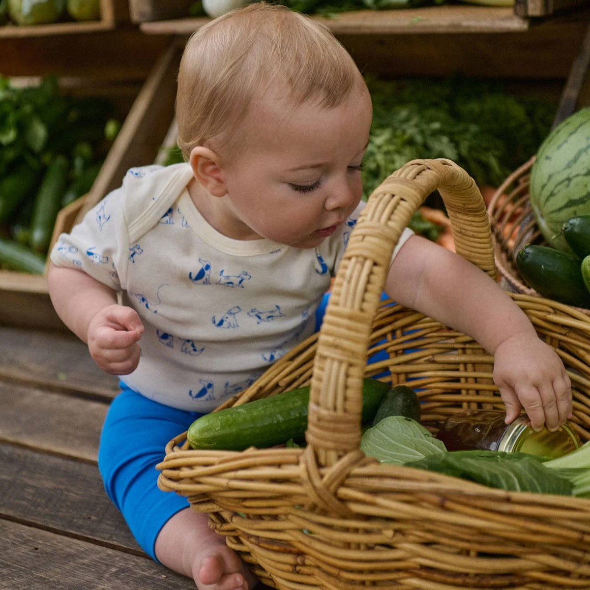 A baby wearing a cream t-shirt with a blue dog pattern and bright blue pants sits on a wooden floor next to a wicker basket filled with fresh vegetables, including cucumbers and a watermelon.