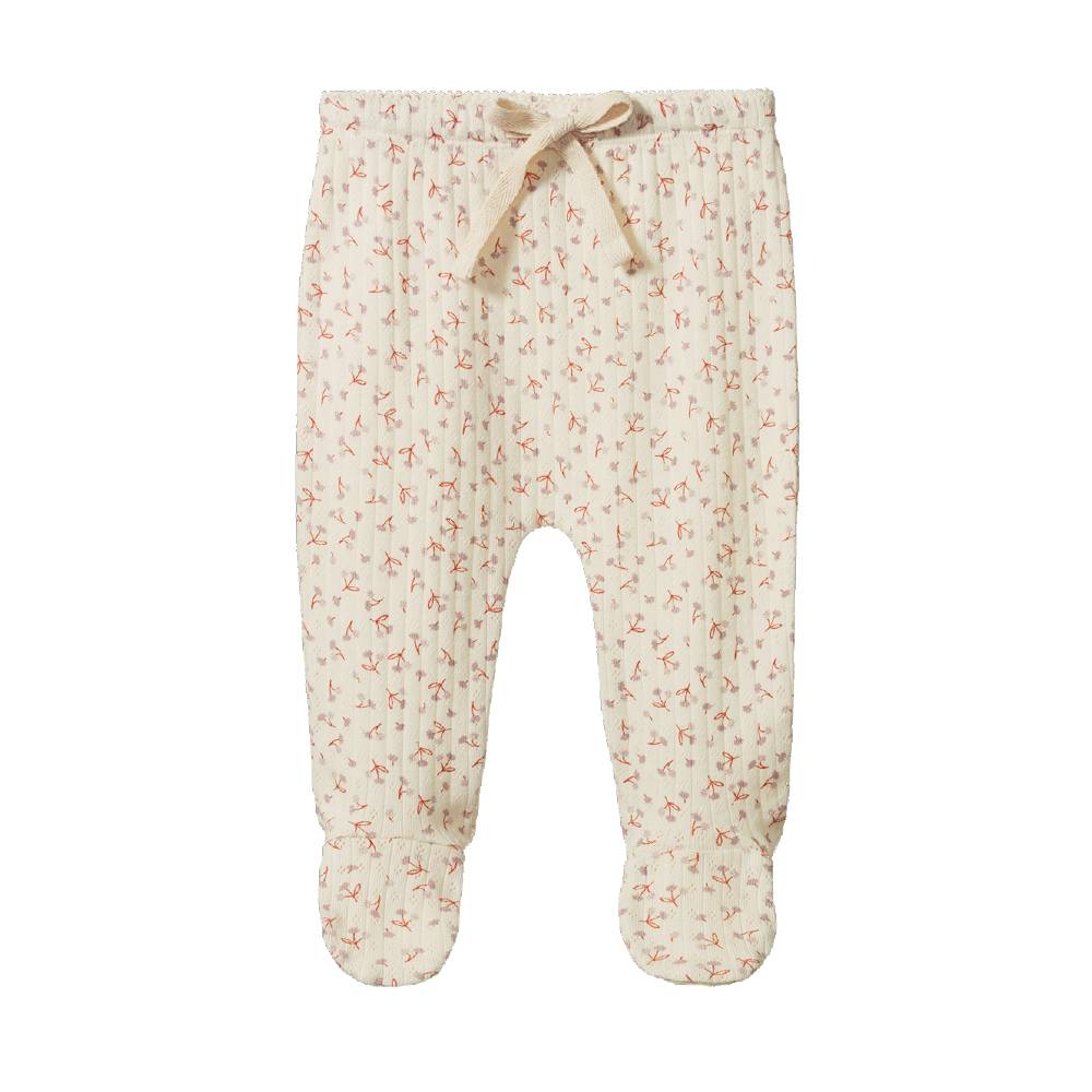 Cotton pointelle baby pants with a floral pattern on a white background. 