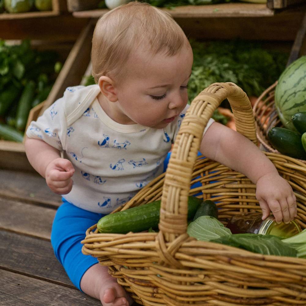 A baby wearing a cream t-shirt with a blue dog pattern and bright blue pants sits on a wooden floor next to a wicker basket filled with fresh vegetables, including cucumbers and a watermelon.