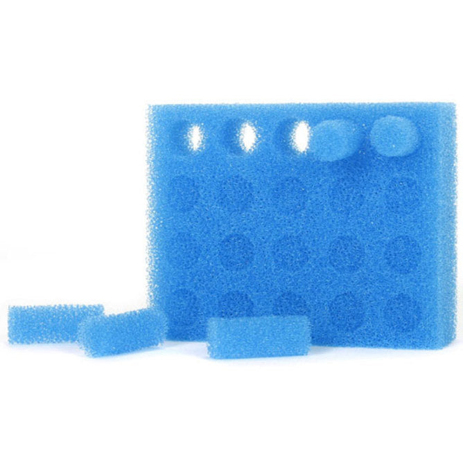 Blue Nose Frida filters against white background.