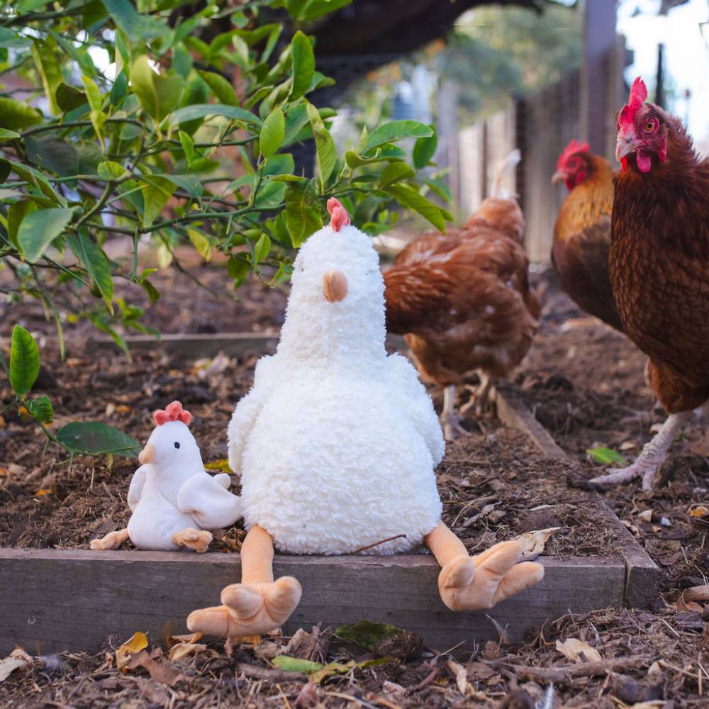 Henrietta the Hen - Cream