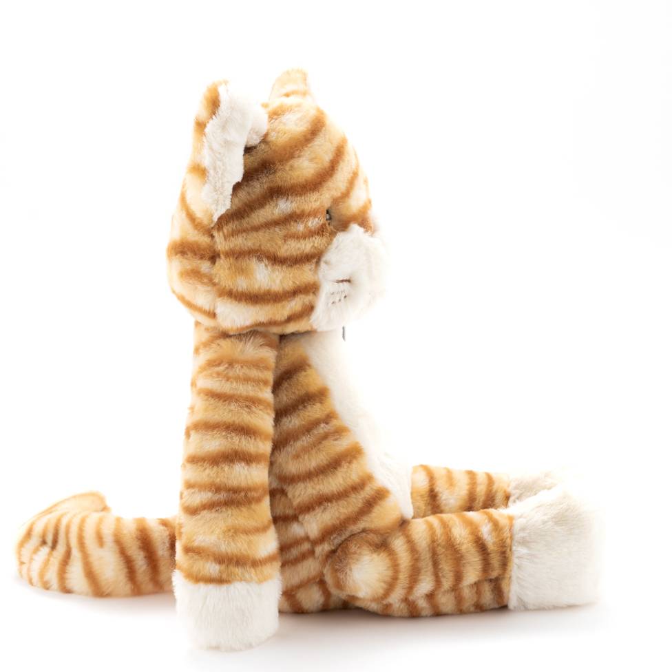 Ginger the Cat