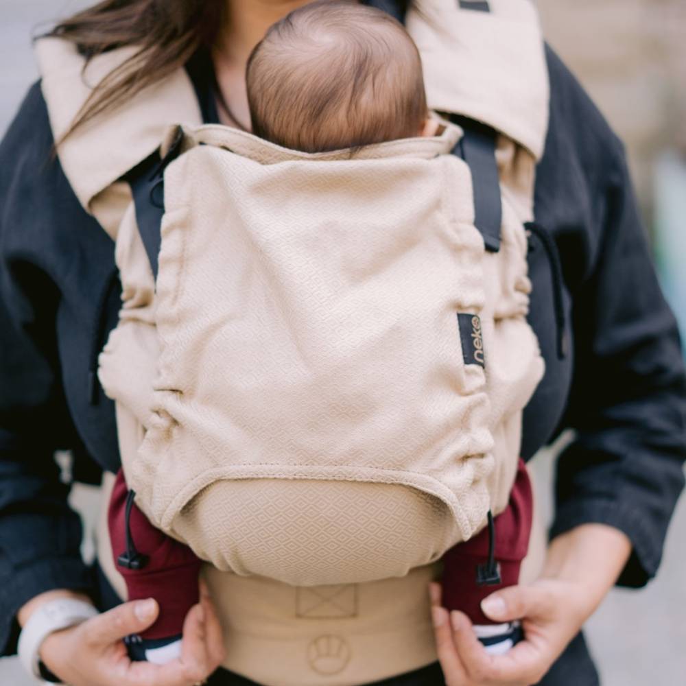 Switch Buckle Carrier - Shimmer