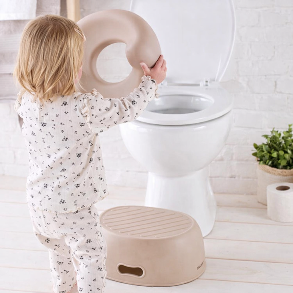 3 in 1 Potty - Clay