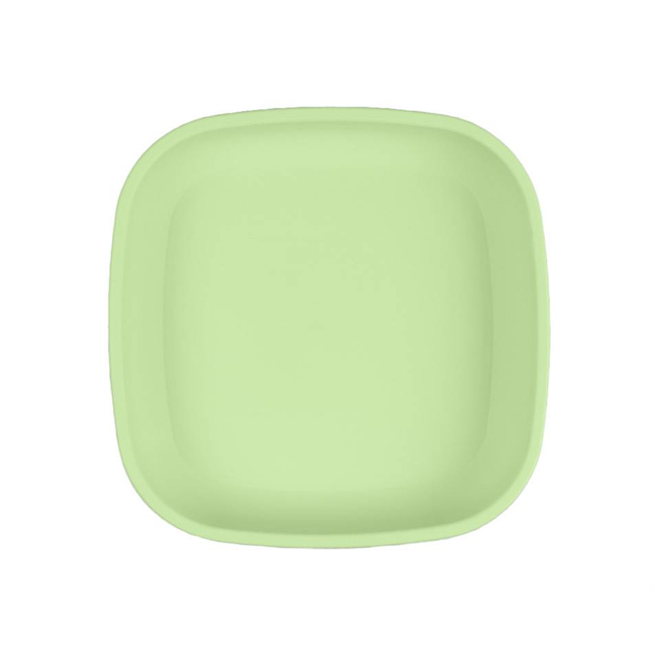 A Small Re-Play Flat Plate - Leaf on a white background