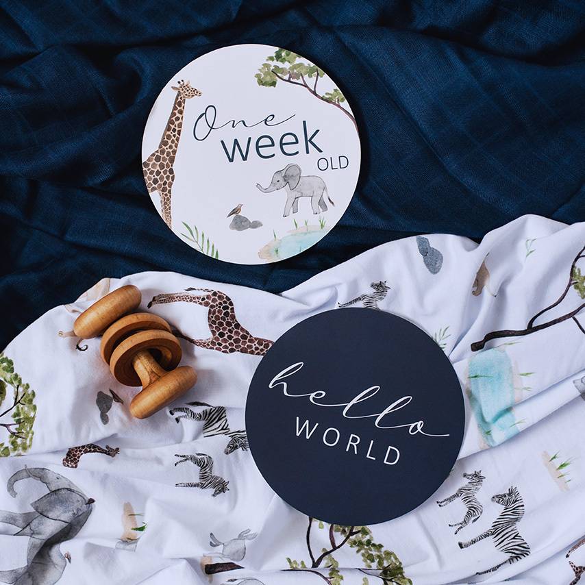 Reversible Milestone Cards - Safari & Navy