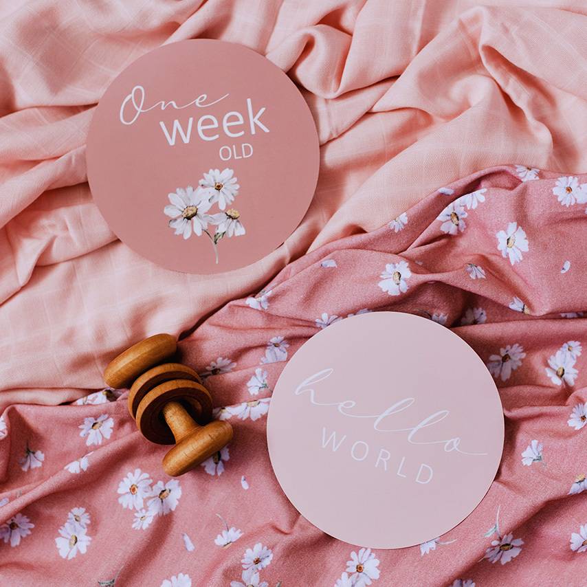 Reversible Milestone Cards - Daisy & Musk Pink