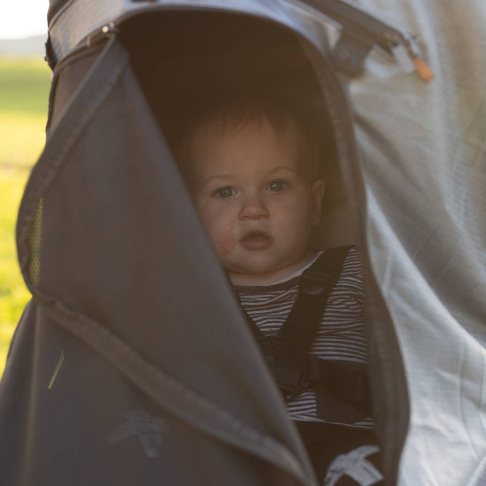 Buggy Sun & Sleep Shade - Plus Deluxe (snaps)