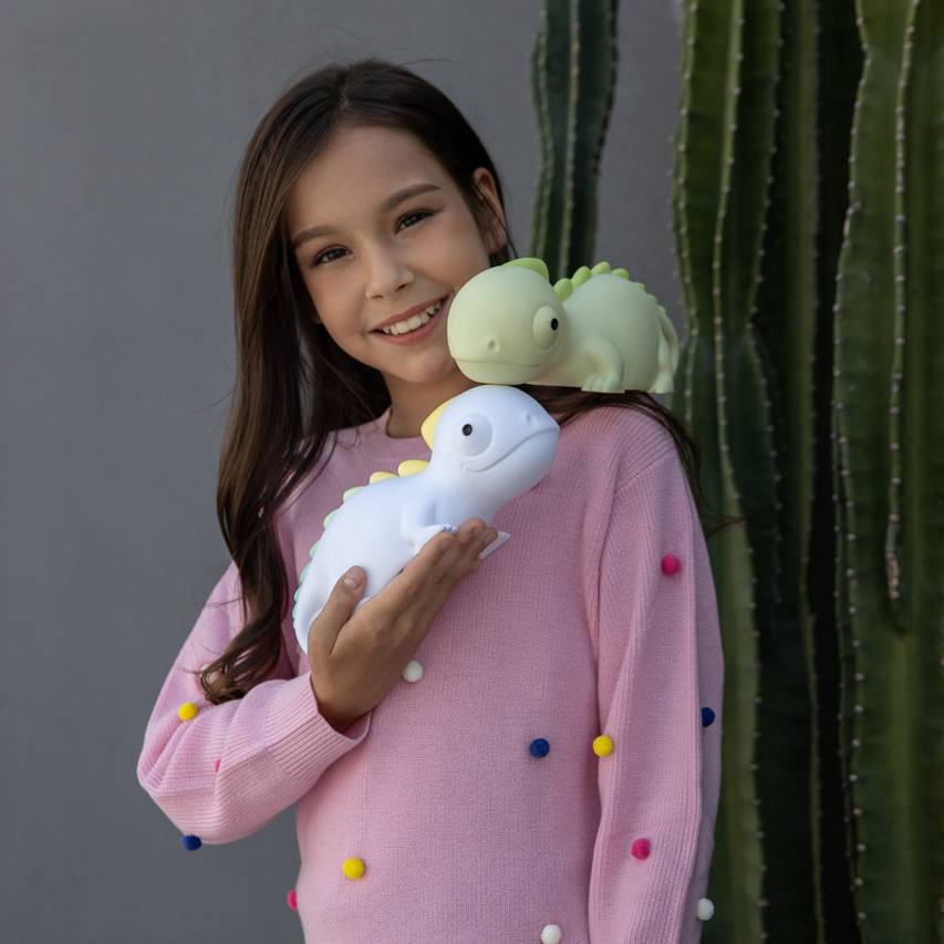 Rechargeable Night Light - Chameleon