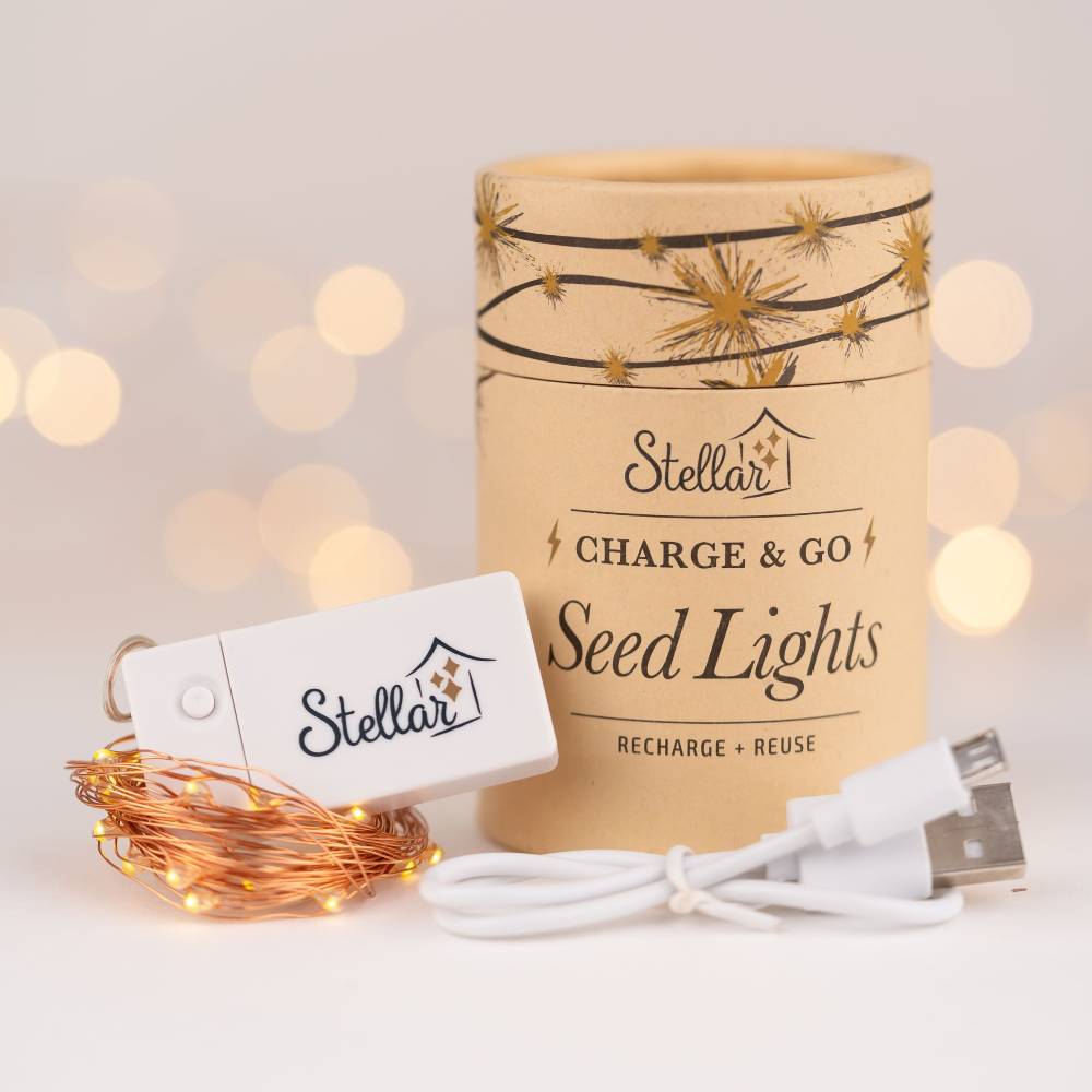 Charge & Go Seed Lights - Silver - Copper