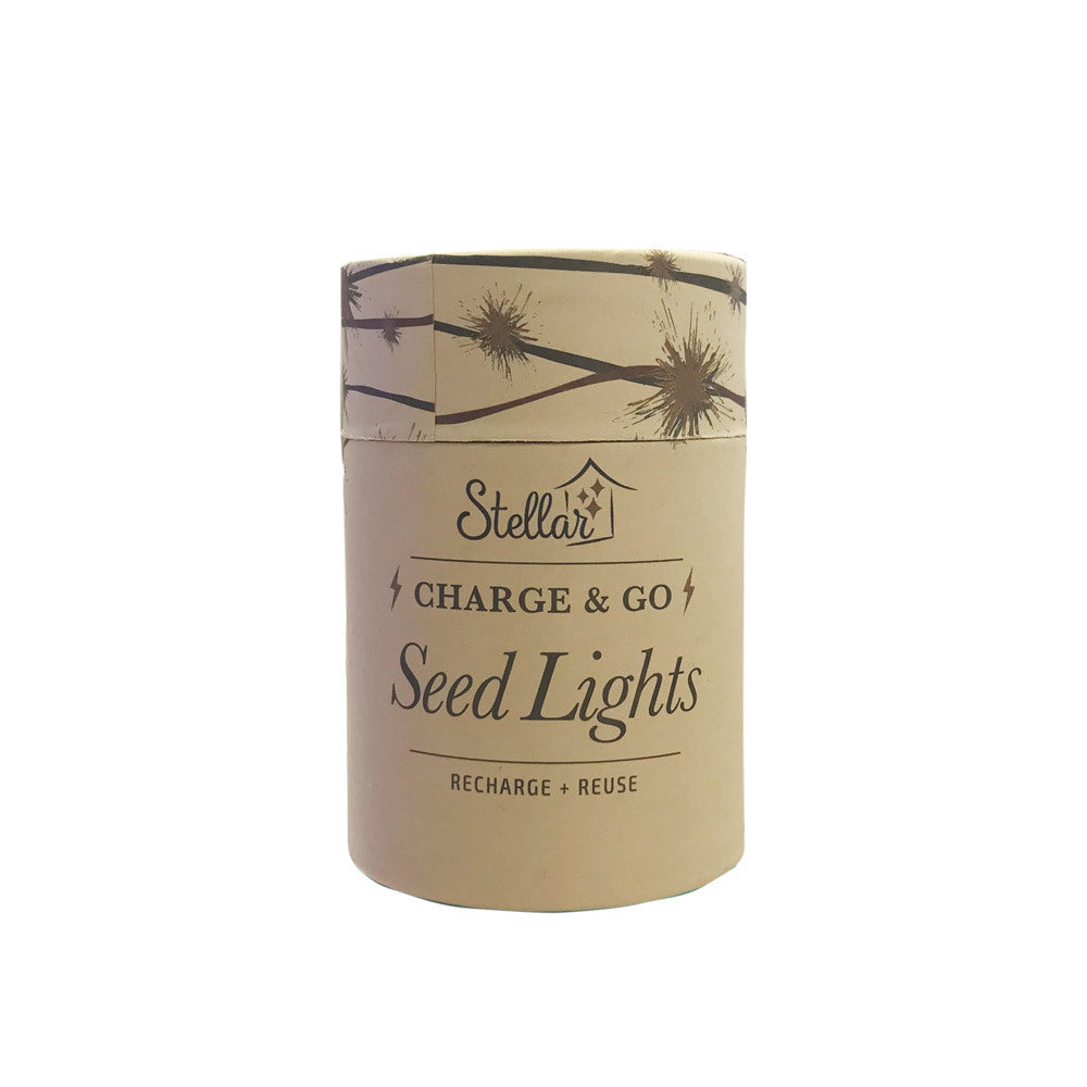Charge & Go Seed Lights - Silver - Silver