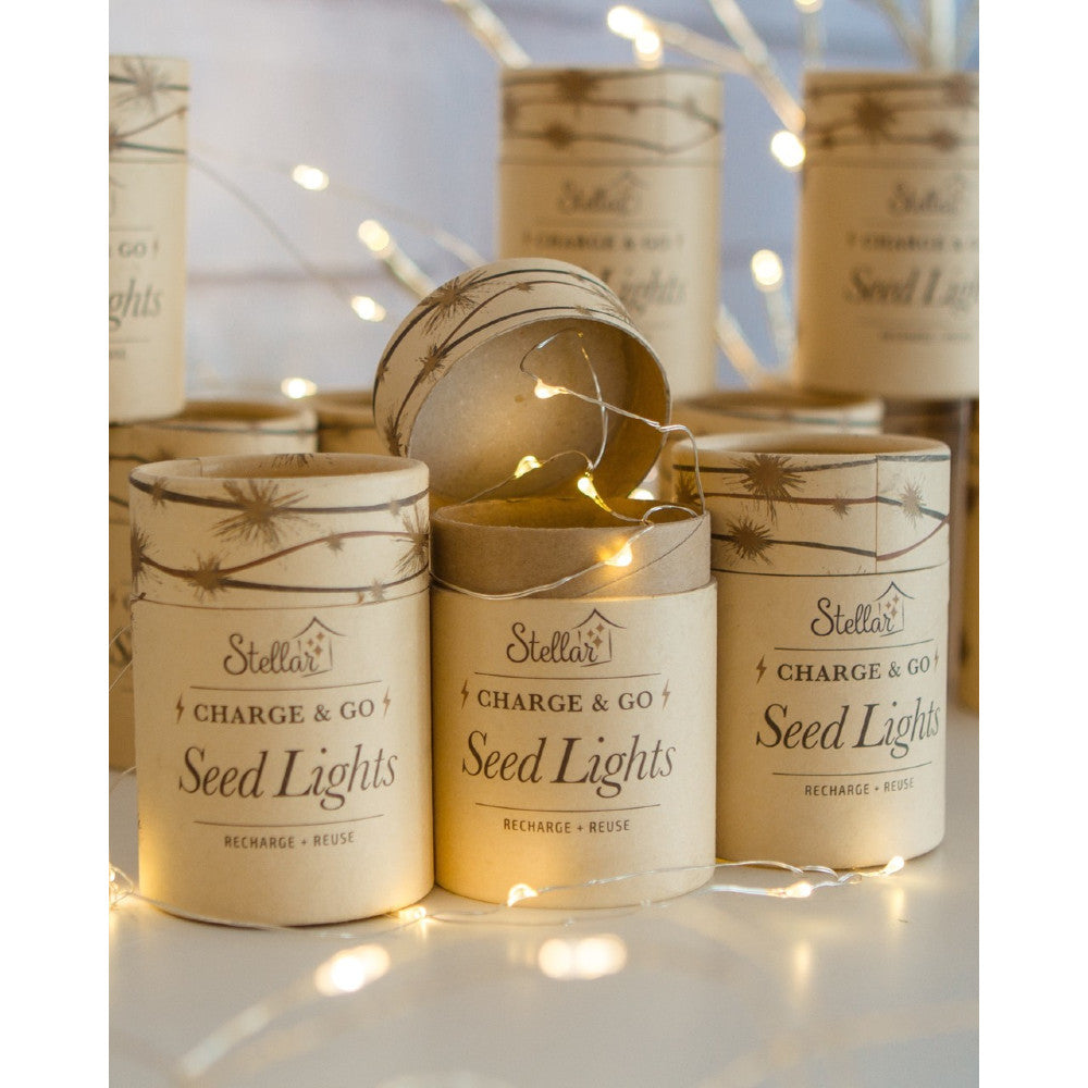 Charge & Go Seed Lights - Silver - Copper
