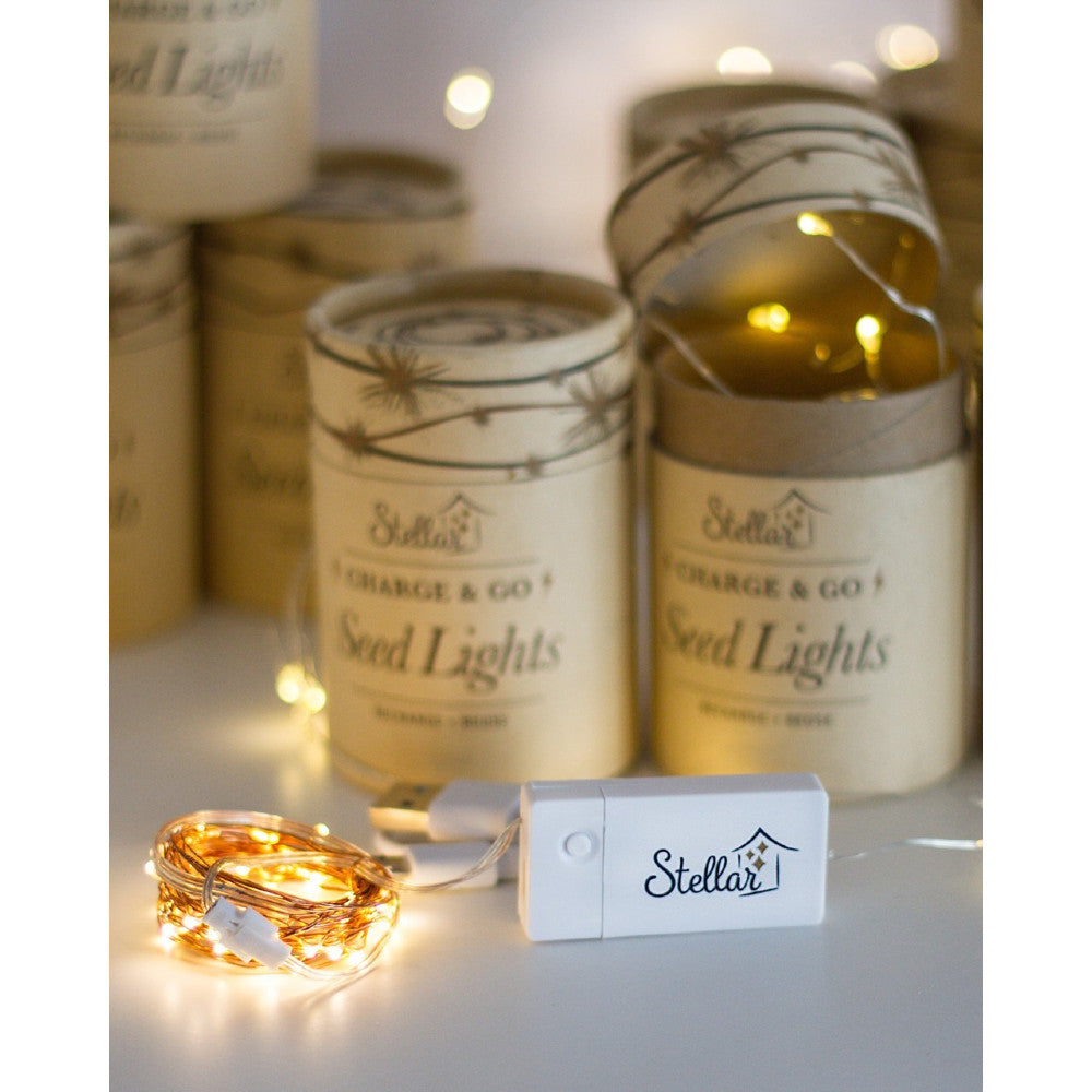 Charge & Go Seed Lights - Silver - Copper