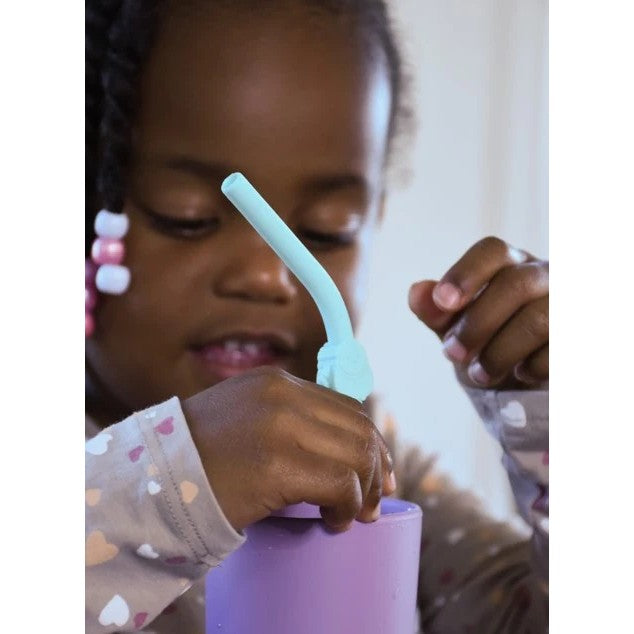 Silicone Animal Straws with Cleaning Brush