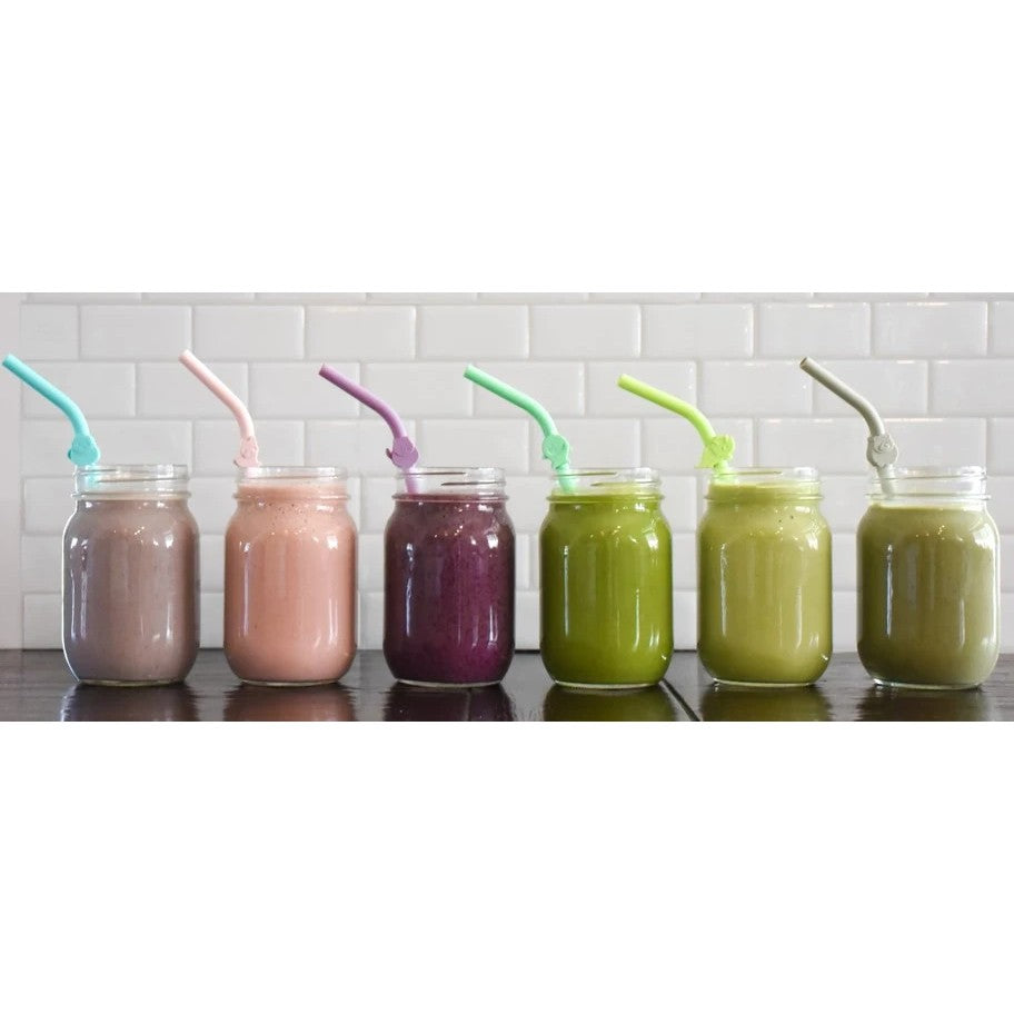Silicone Animal Straws with Cleaning Brush