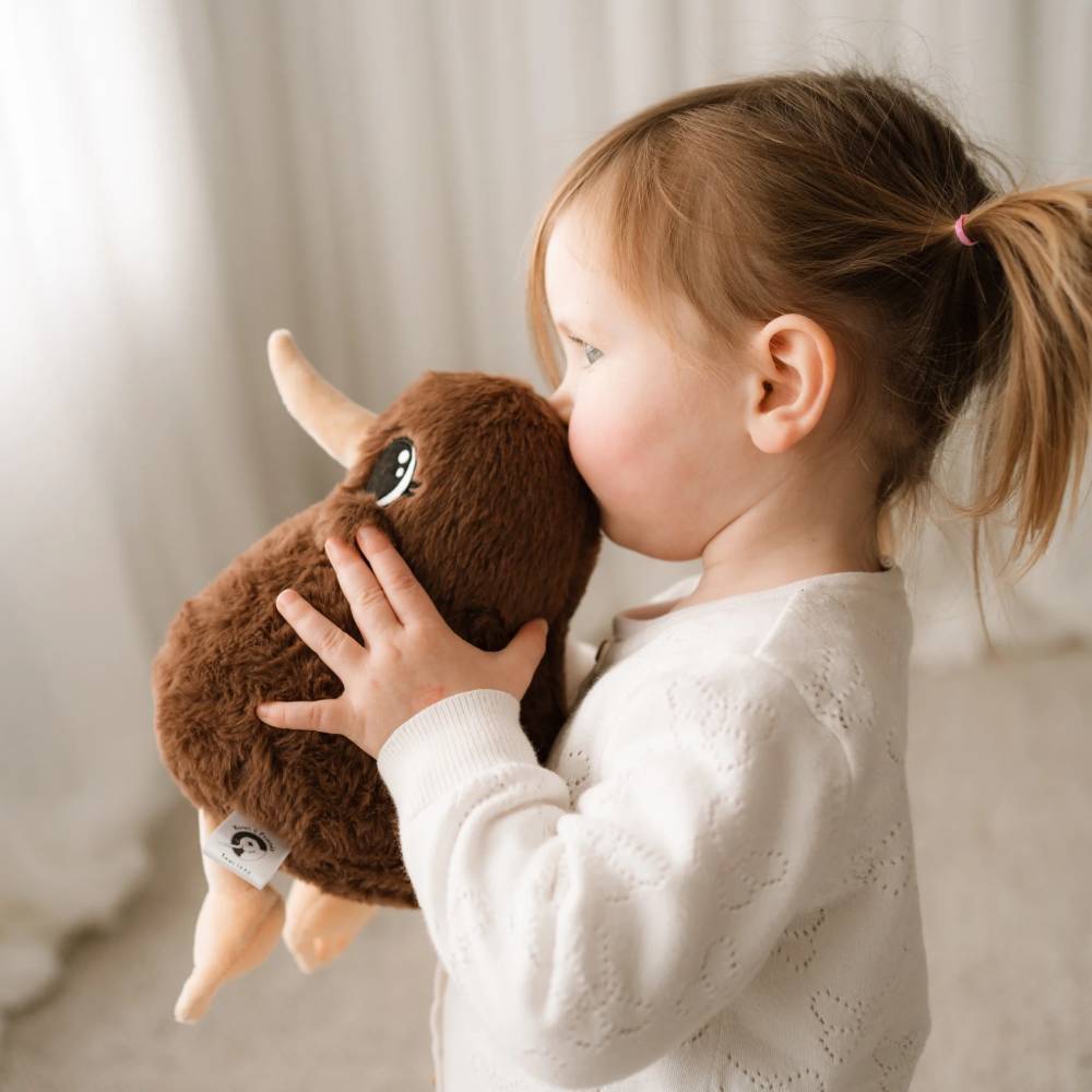 Kuwi the Kiwi Soft Toy - Medium