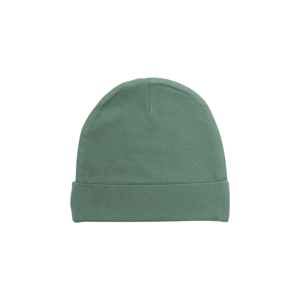 Organic Cotton Newborn Beanie - Fern (green) on a white background.