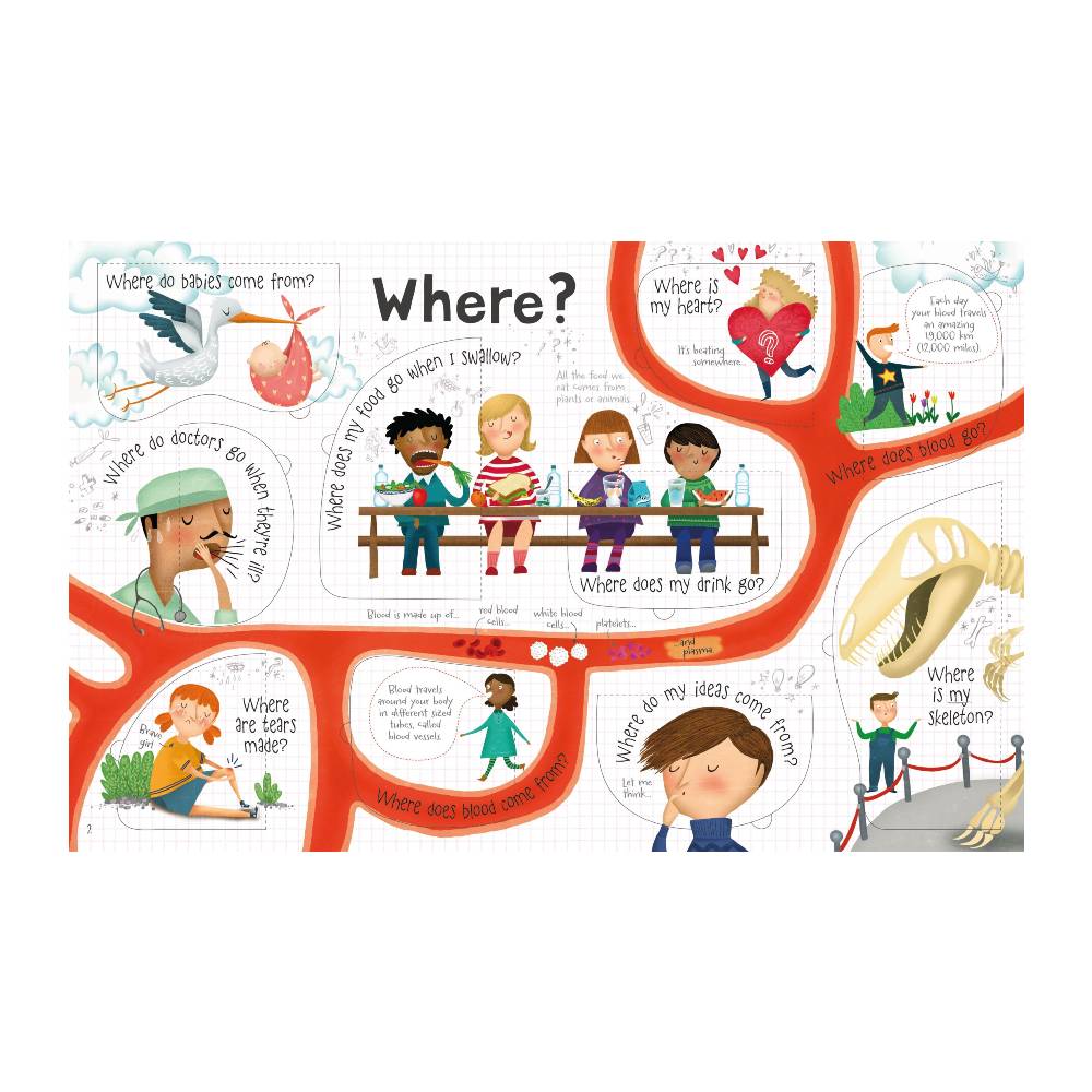 Lift-the-flap Book - Questions and Answers about your Body