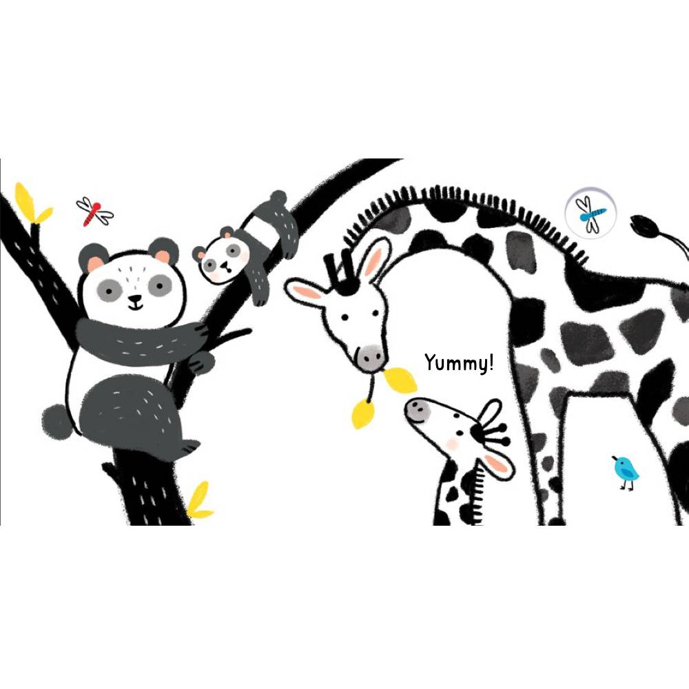Baby's Black & White Books - Animals