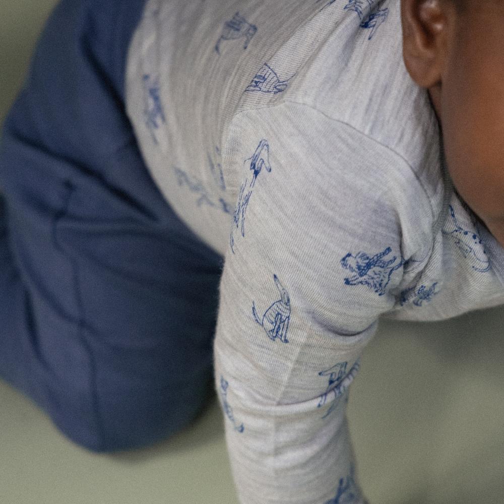 Merino Long Sleeve Bodysuit - Best Friend Print