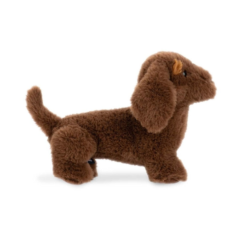 Lump Dachshund