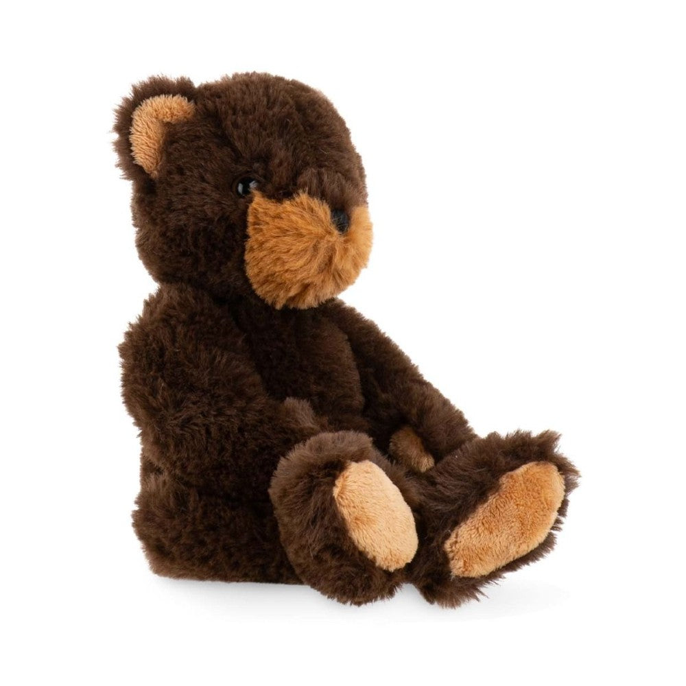Winnipeg Black Bear