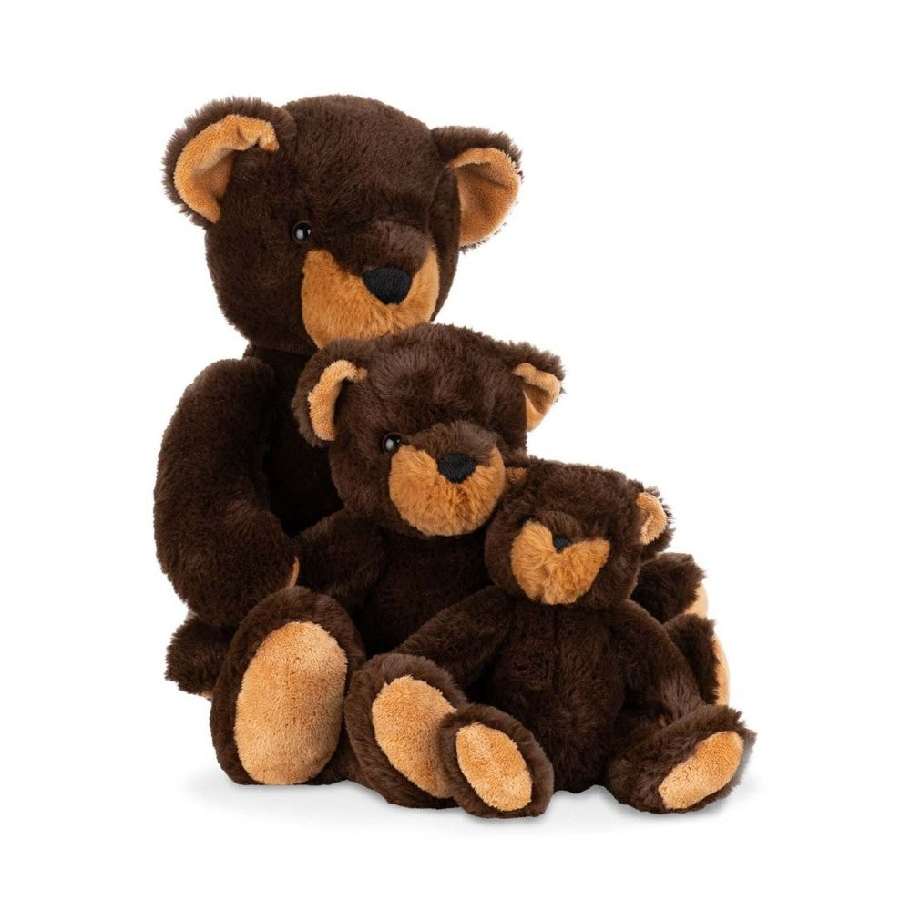 Winnipeg Black Bear